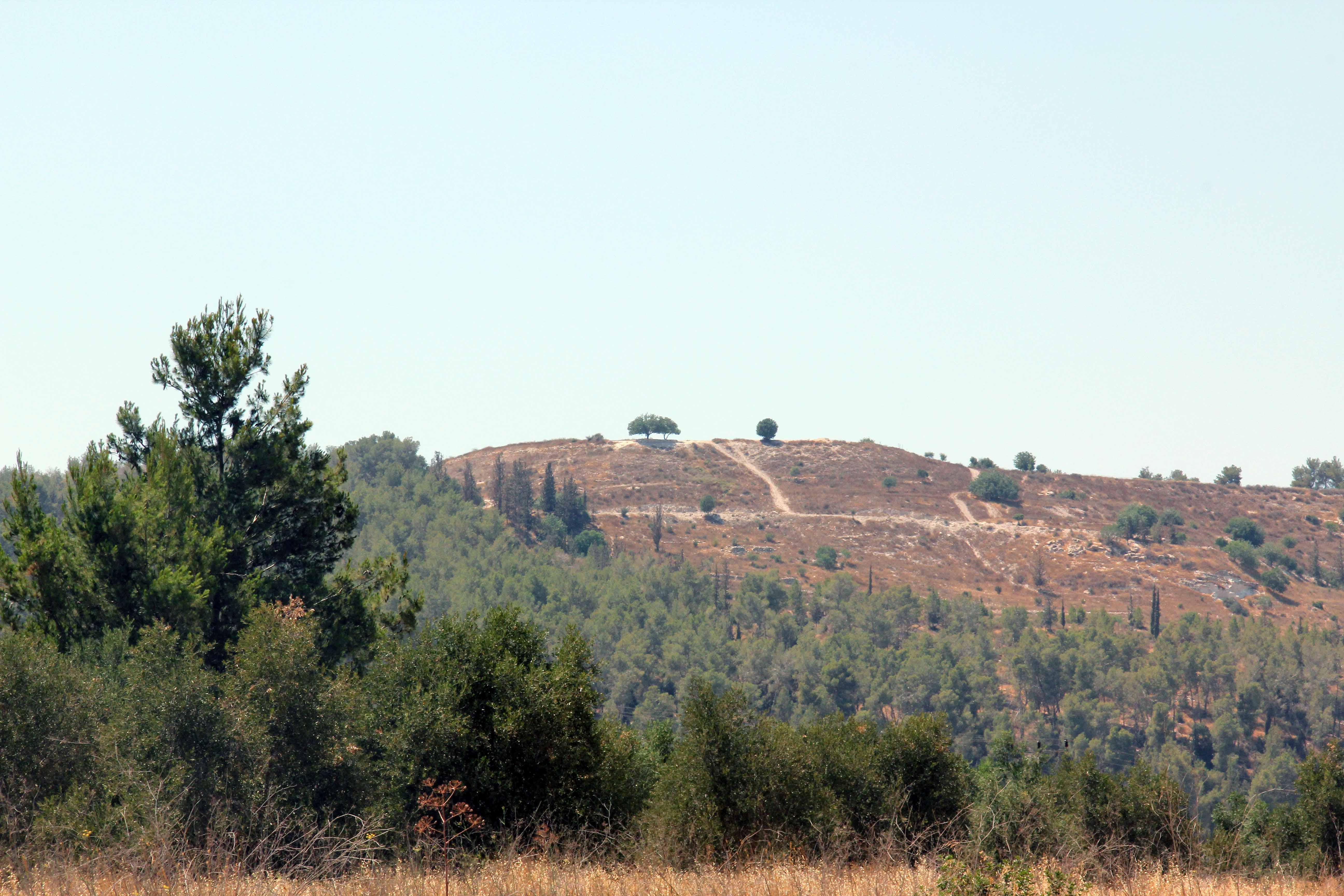 David and Goliath image 6